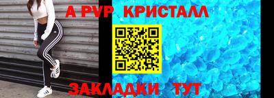 шишки Можга