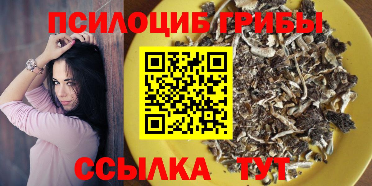 Галлюциногенные грибы Cubensis  Вход с VPN  Алапаевск 